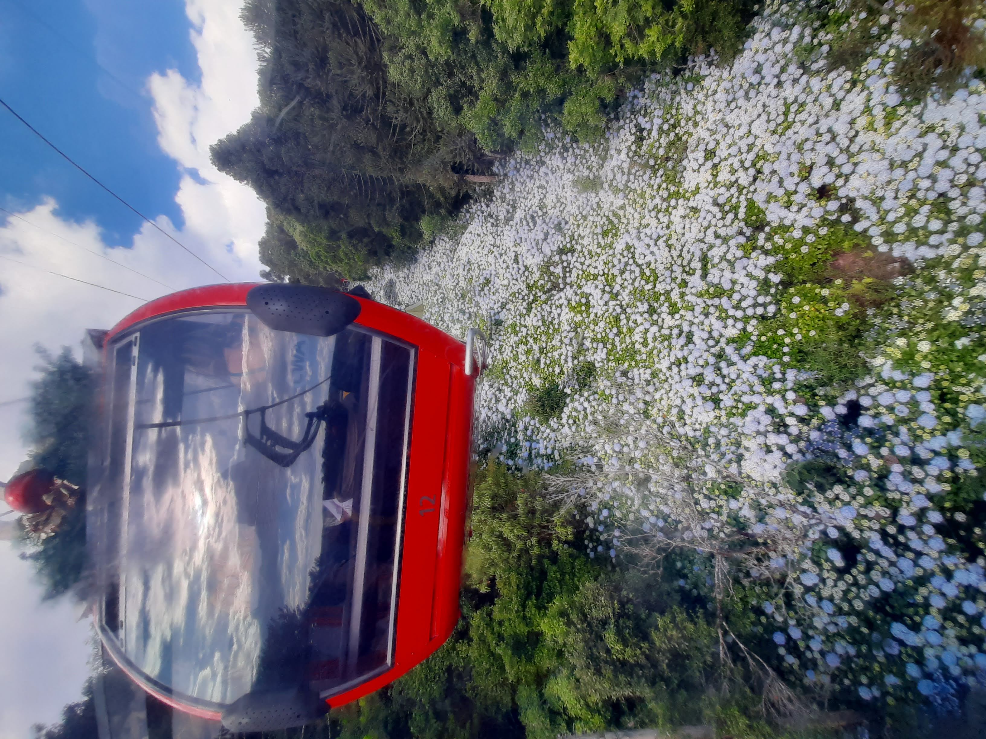 Gondola