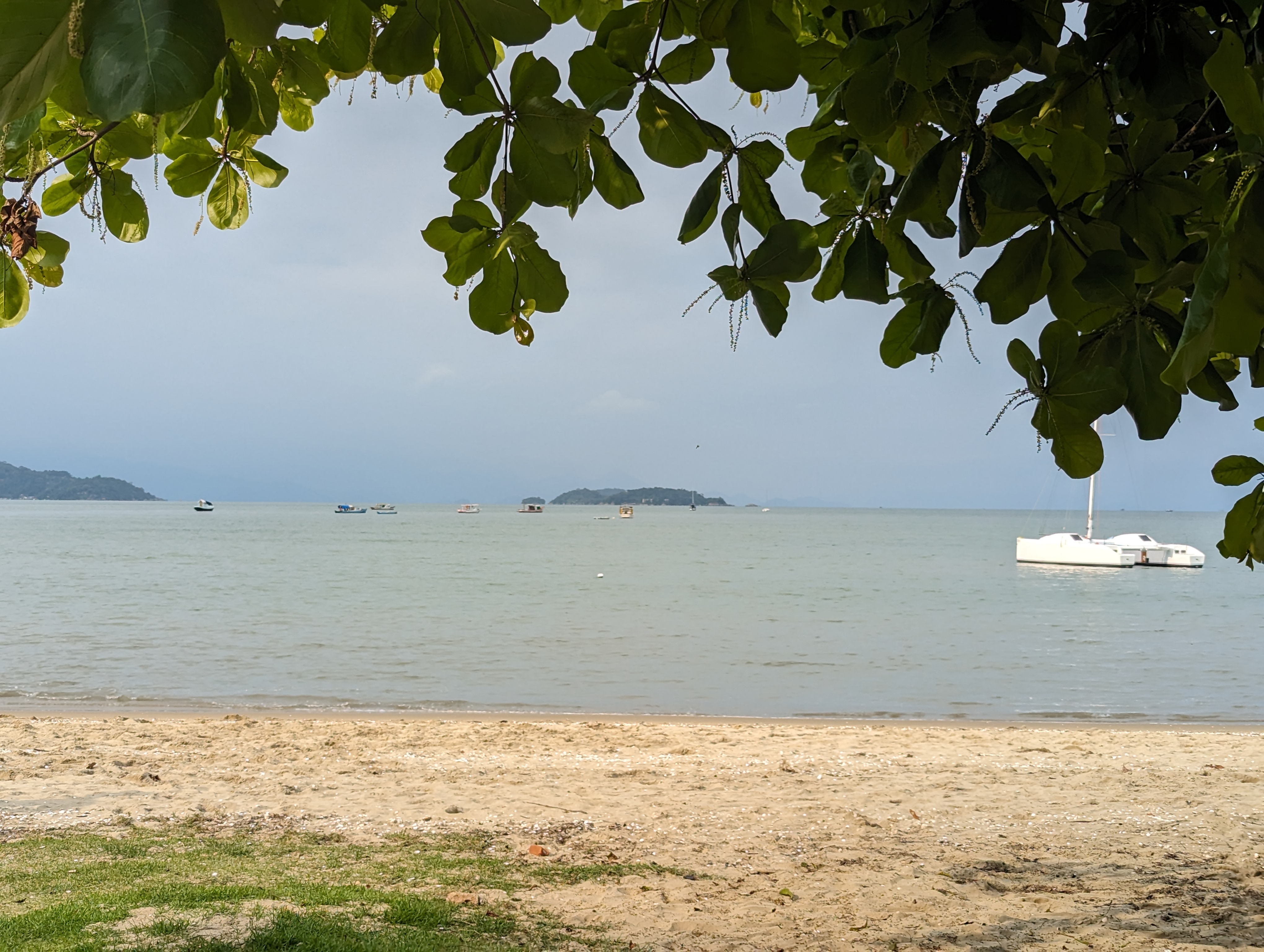 Beach with Grass and Trees