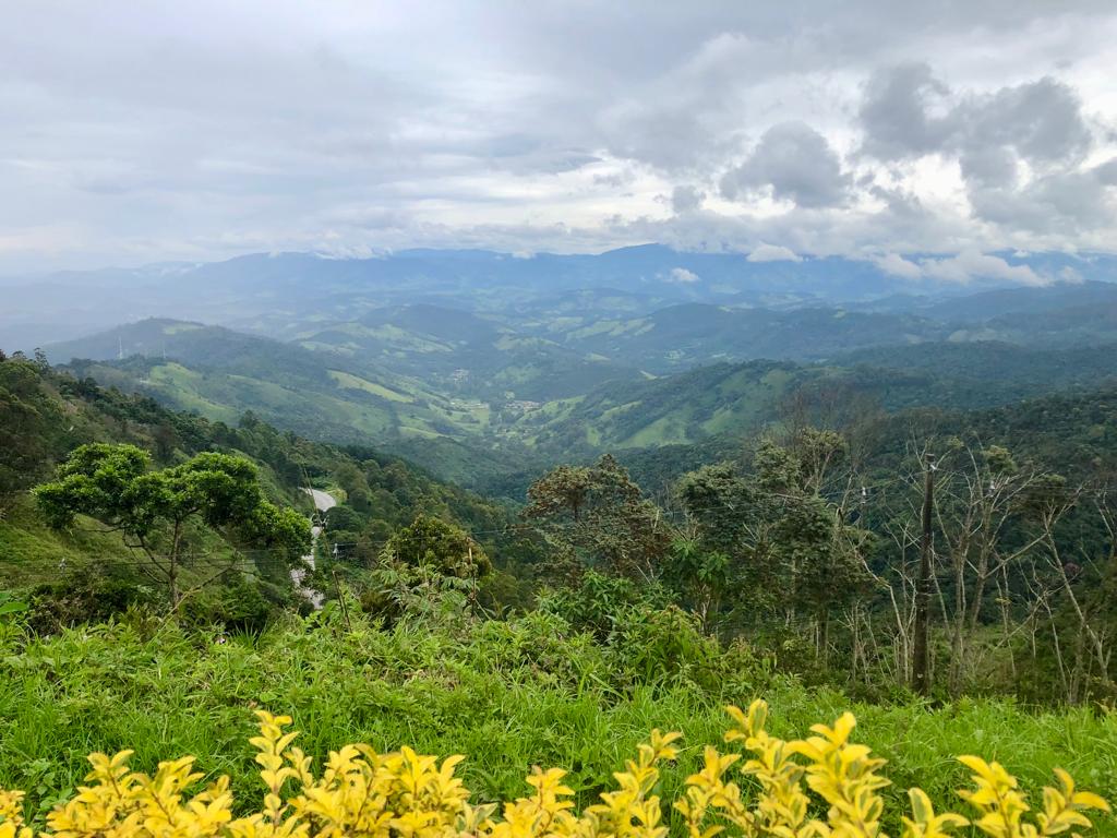 View from Amantikir