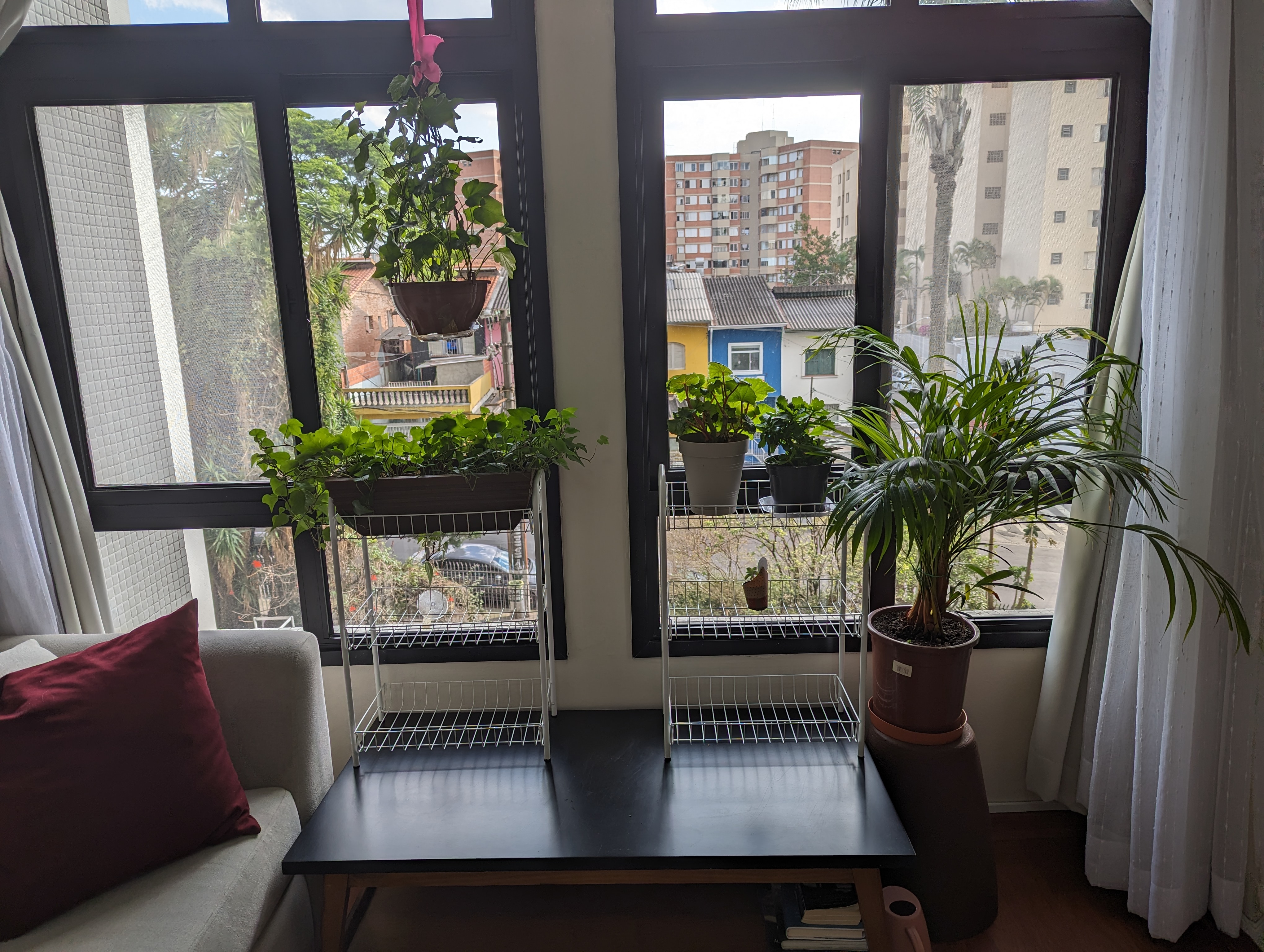 My window