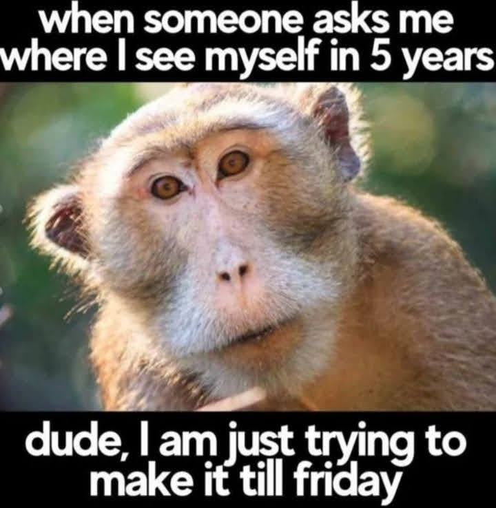Meme
