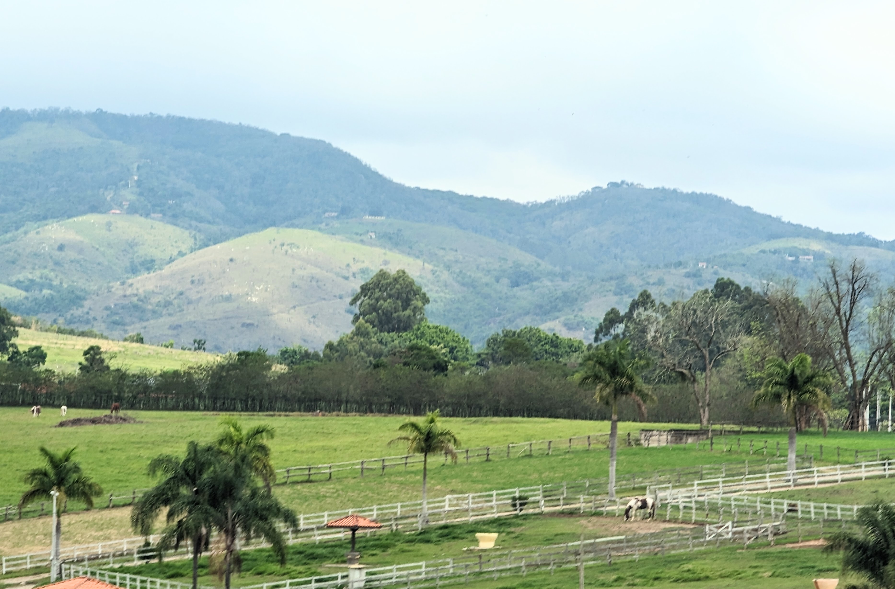 Drive back from Ubatuba