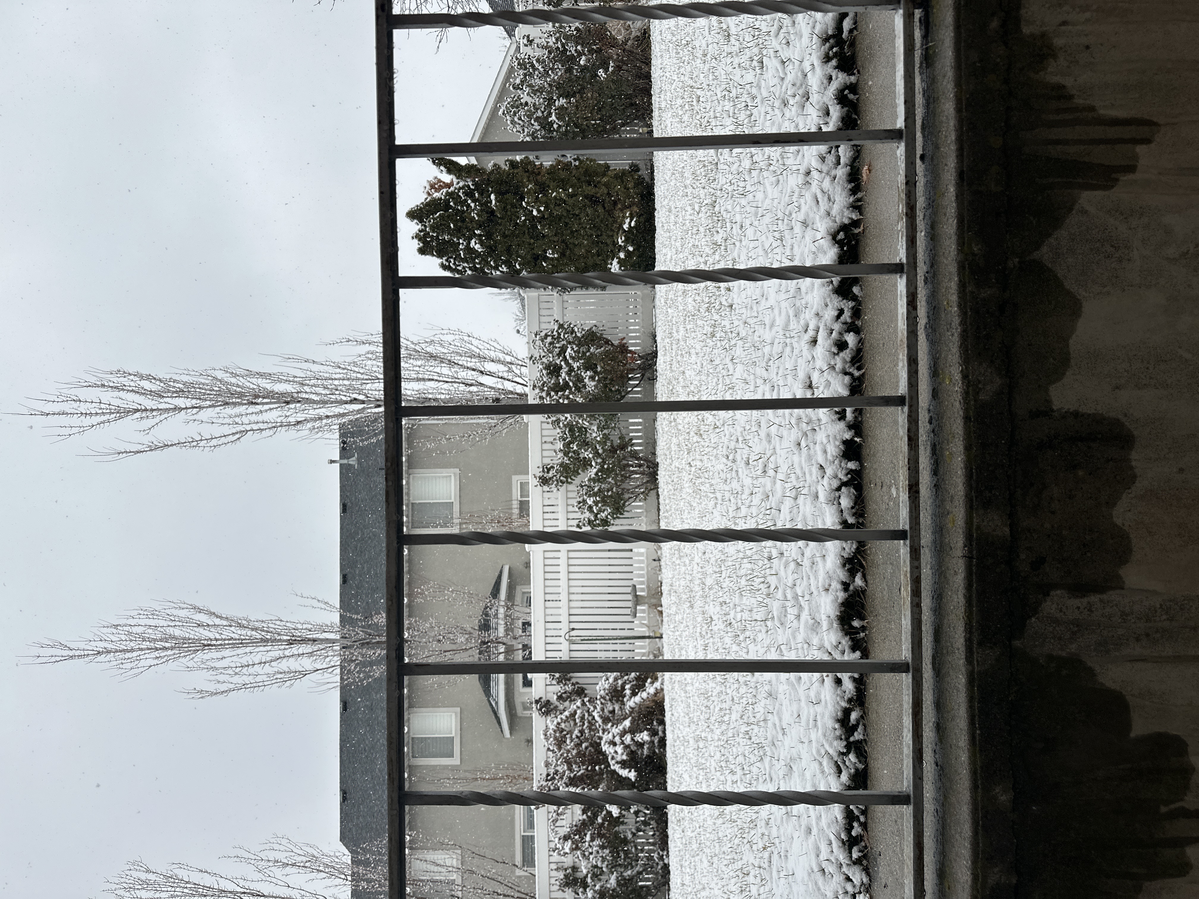 Snow in Provo